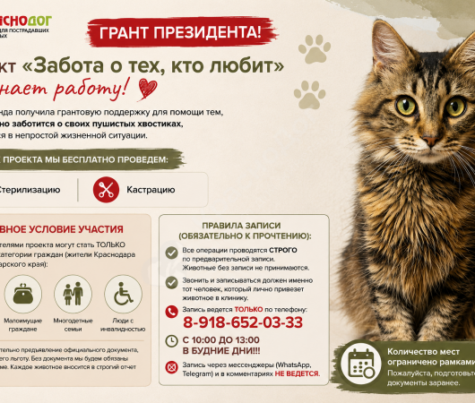 Грант Президента. Проект «Забота о тех, кто любит» начинает работу!